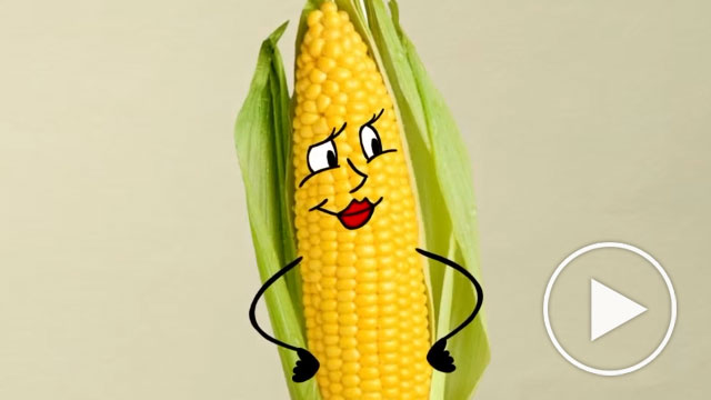 Uśmiechnięta kukurydza - animacja 2d